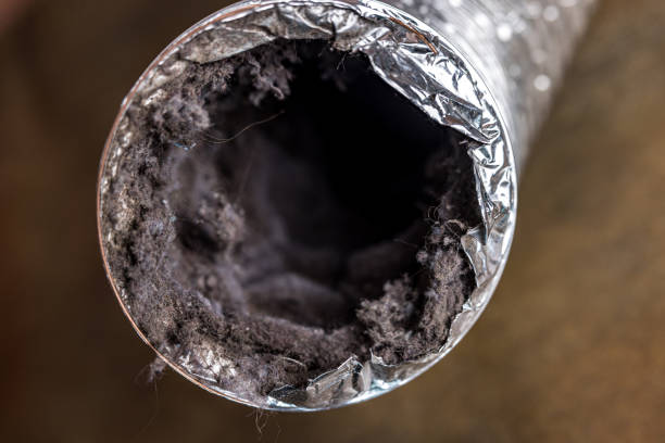 Best Affordable Air Duct Cleaning  in Rialto, CA